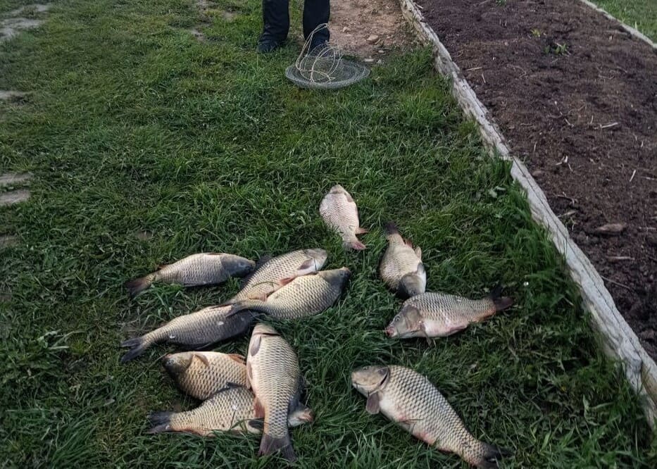 Аренда офиса  